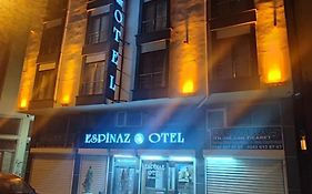 Espinaz Apart Otel